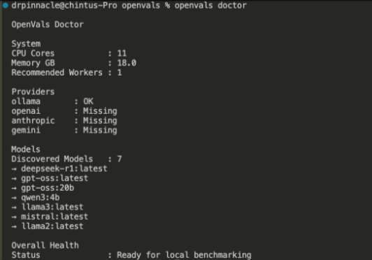 OpenVals Doctor CLI output