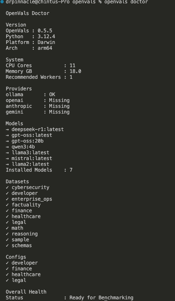 OpenVals Doctor Detailed CLI output